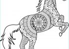 Mandala Animaux Cheval Élégant Stock Horse On Two Legs Mandala Decoration Animal Vector Image