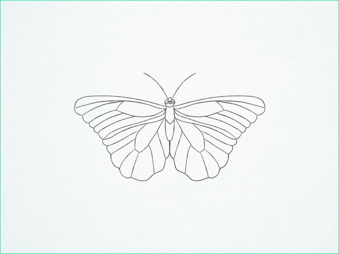 Papillon Facile à Dessiner Inspirant Image 1001 Idées De Dessin De Papillon Pour S Inspirer Et