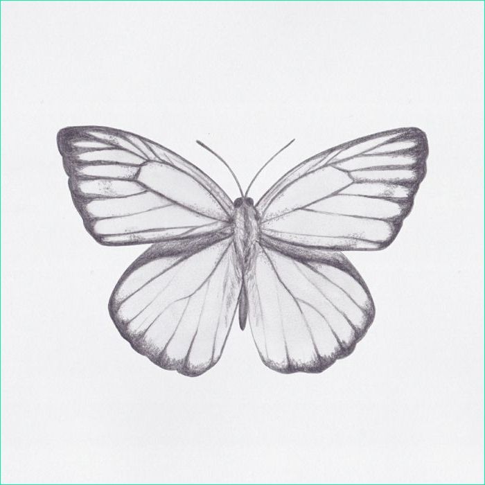 Papillon Facile à Dessiner Nouveau Image 1001 Idées De Dessin De Papillon Pour S Inspirer Et
