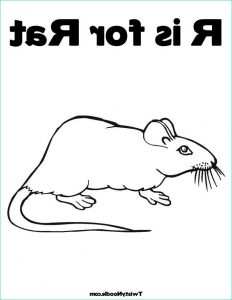 Rat Dessin Facile Beau Photos Nos Jeux De Coloriage Rat à Imprimer Gratuit