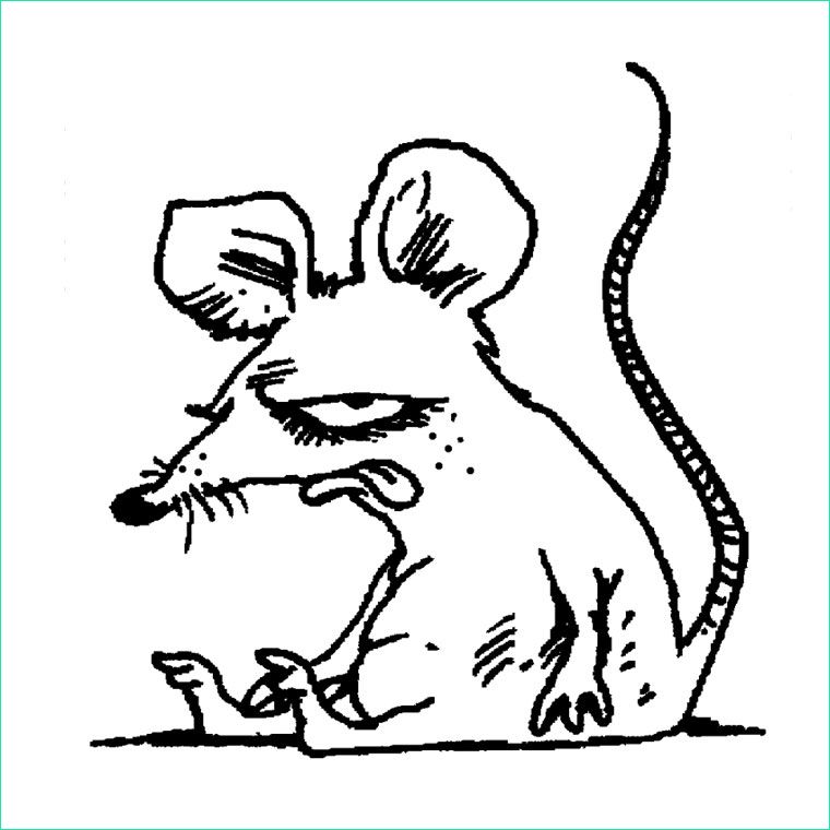 Rat Dessin Facile Bestof Photos Nos Jeux De Coloriage Rat à Imprimer Gratuit