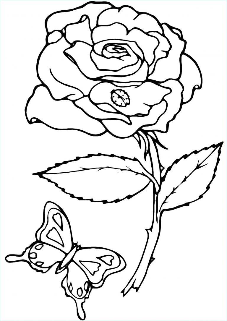 11 Unique De Rose à Colorier Images - Coloriage : Coloriage