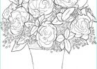 Rose à Colorier Cool Photographie Coloriage Bouquet De Rose St Valentin Dessin