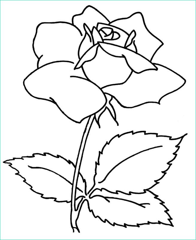 Rose à Colorier Inspirant Collection Coloriage De Fleur Dessin Une Jolie Rose à Colorier