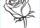 Rose à Colorier Luxe Photos Coloriage Adorable Rose Saint Valentin Fermee Sur