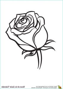 Rose à Colorier Luxe Photos Coloriage Adorable Rose Saint Valentin Fermee Sur