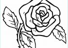Rose à Colorier Unique Image 57 Dessins De Coloriage Roses à Imprimer Sur Laguerche