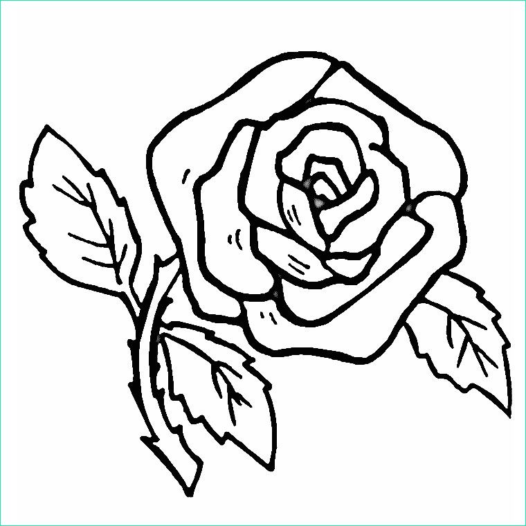 Rose à Colorier Unique Image 57 Dessins De Coloriage Roses à Imprimer Sur Laguerche