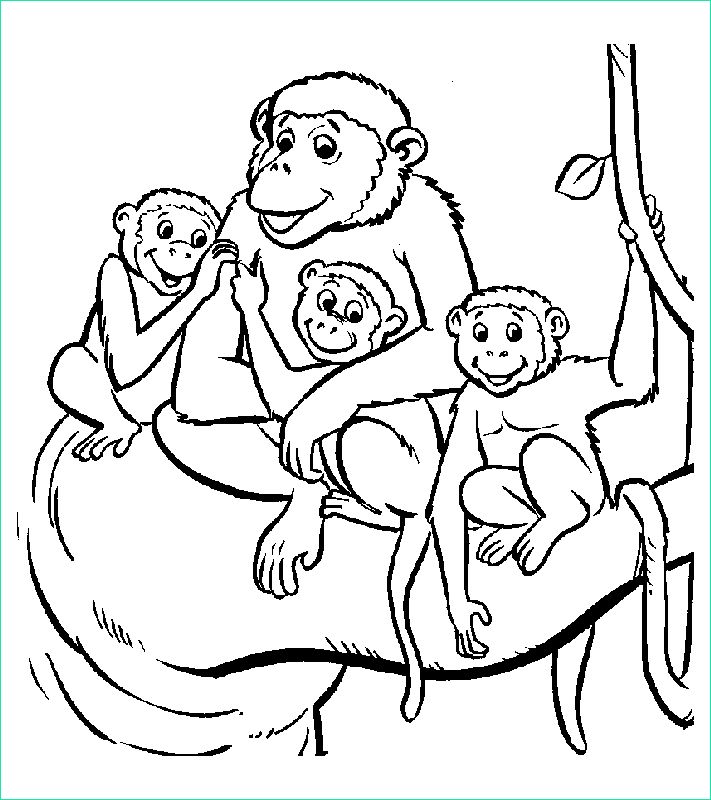 Un Singe Dessin Élégant Collection Monkeys to Print Monkeys Kids Coloring Pages