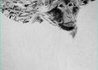 Un Singe Dessin Inspirant Photographie Dessin Singe Au Crayon Samos17 Samos17 Portraitiste