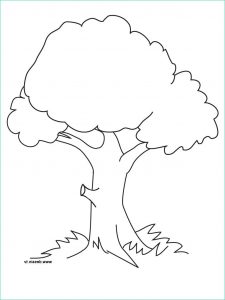 Arbre A Imprimer Inspirant Photos Blank Coin Coloring Pages Coloring Pages