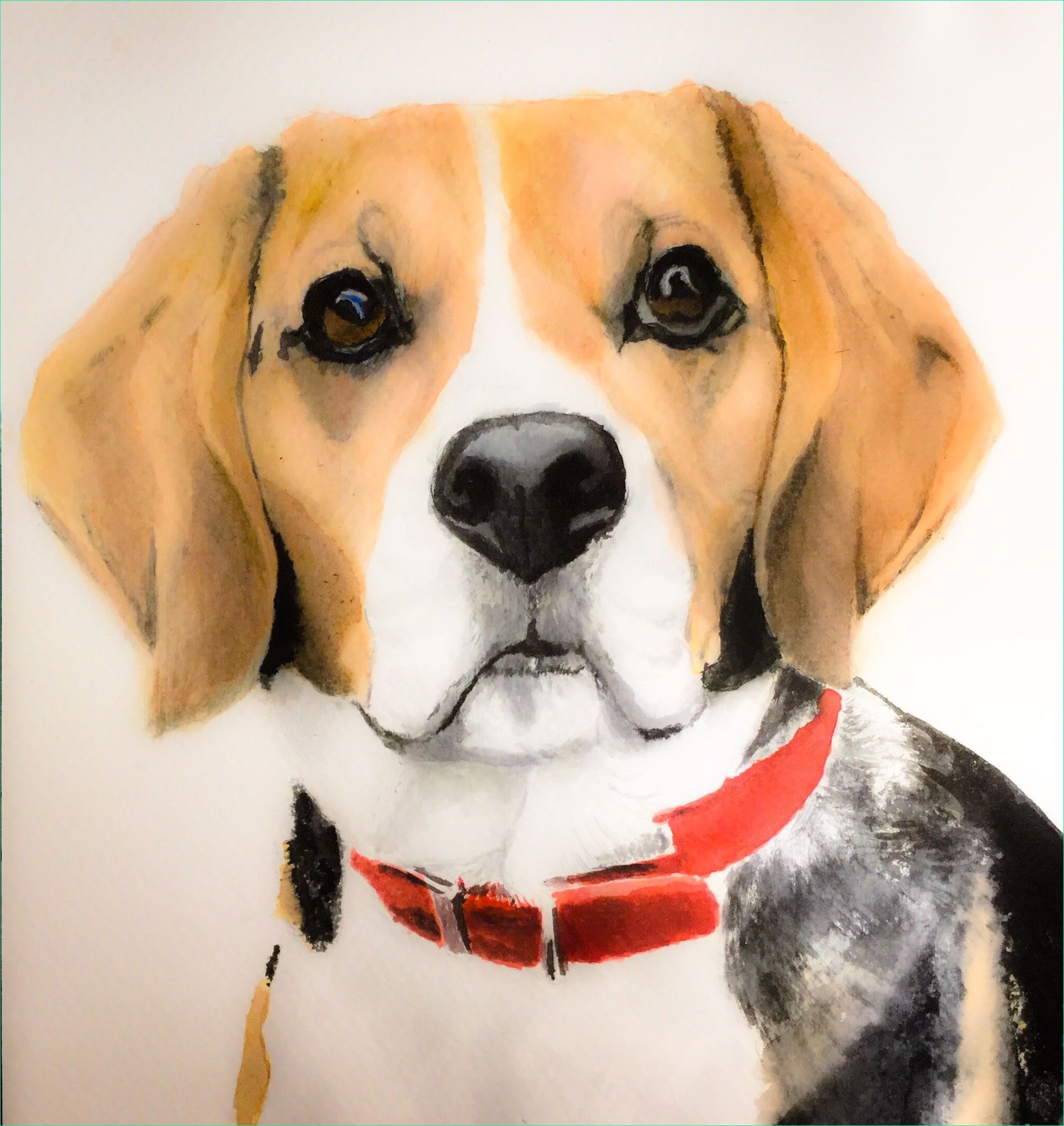 Beagle Dessin Nouveau Stock Beagle Art Watercolour Avec Images