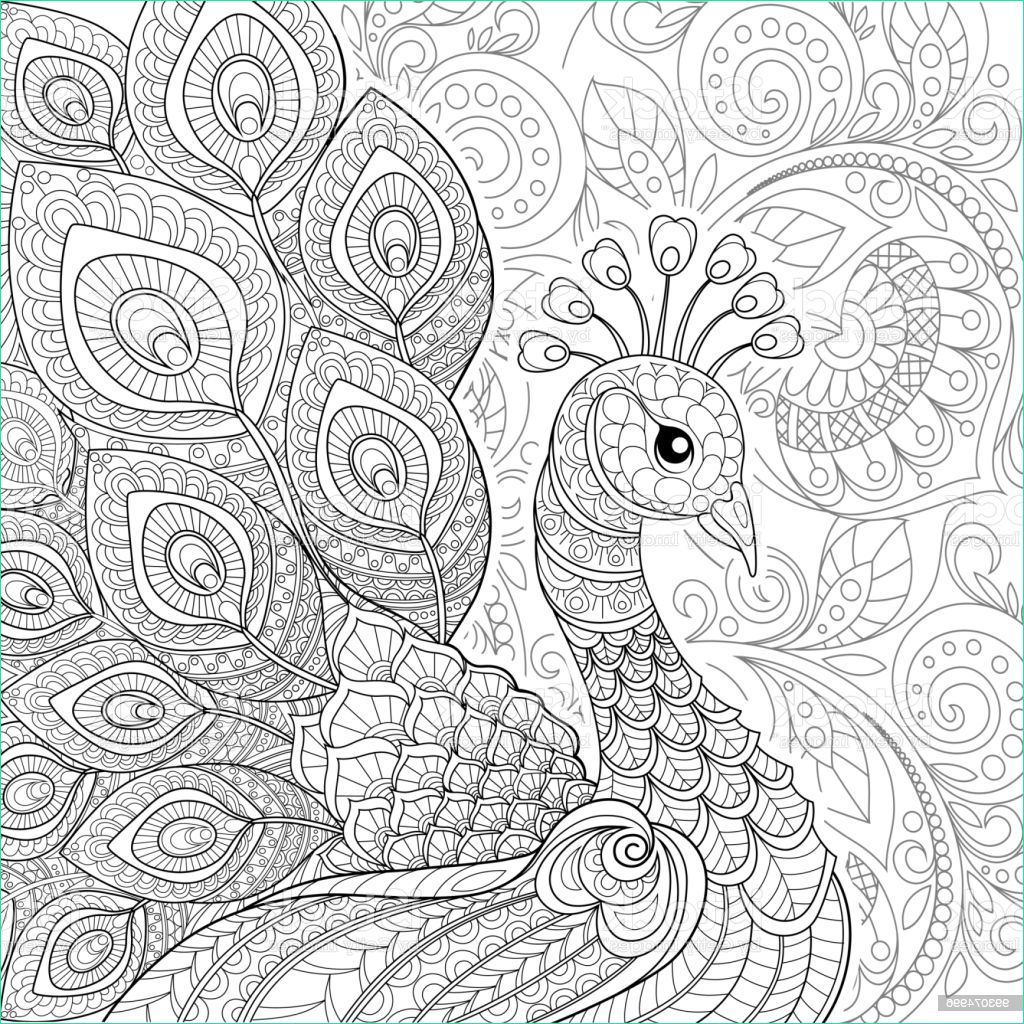 Beau Coloriage Beau Collection Peacock In Zentangle Style Adult Antistress Coloring Page