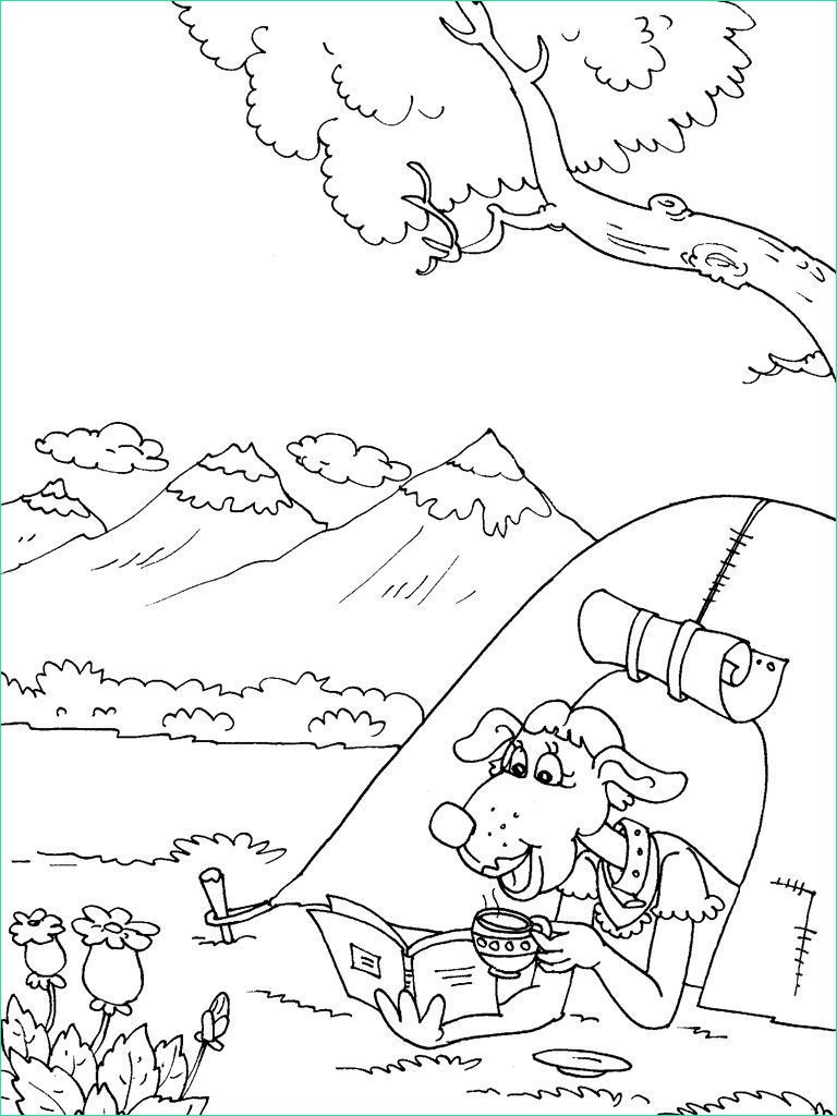 Coloriage Camping Cool Stock Coloriage Camping 29 Coloriage Camping Coloriages Divers