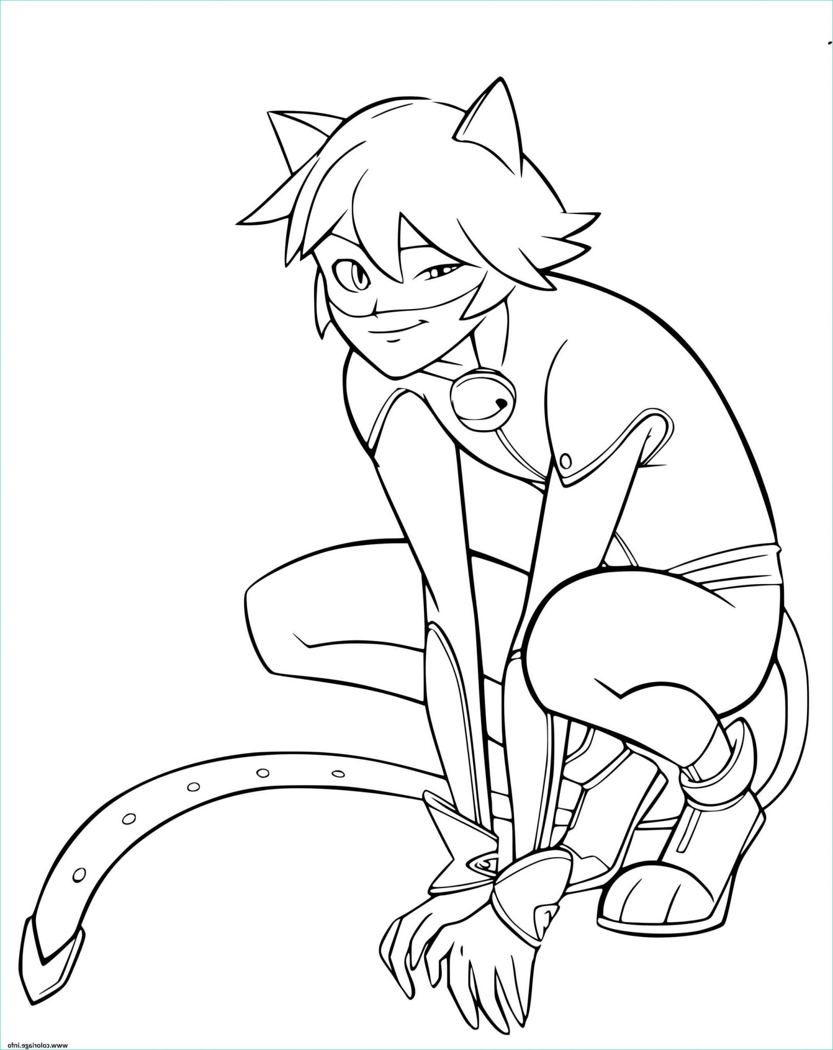 Coloriage Chat Noir Bestof Stock Coloriage Adrien Agreste Alias Chat Noir Jecolorie Coloriage 7522