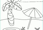 Coloriage Coquillage Plage Beau Images Dessin De Mer Parasol Palmier Plage Vacances