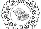 Coloriage Coquillage Plage Inspirant Photos 100 Dessins De Coloriage Plage été à Imprimer