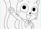 Coloriage De Fairy Tail Impressionnant Stock Dessin Fairy Tail Happy
