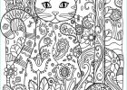 Coloriage Difficile Impressionnant Photos Coloriage Difficile Animaux Nouveau S Coloriage