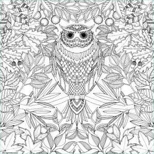Coloriage Info Luxe Photographie Coloriage Art therapie 45 Dessin