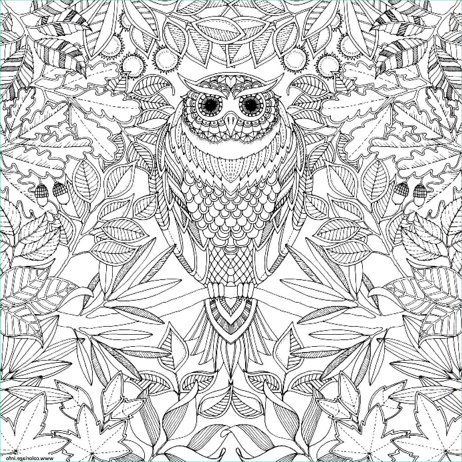 Coloriage Info Luxe Photographie Coloriage Art therapie 45 Dessin