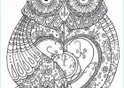 Coloriage Magique Cp soustraction Inspirant Photos Animal Mandala Coloring Pages