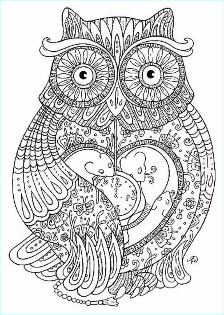 Coloriage Magique Cp soustraction Inspirant Photos Animal Mandala Coloring Pages