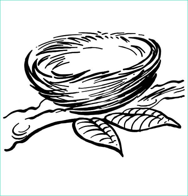 Coloriage Nid Beau Galerie Free Coloring Pages Bird Nest Food Ideas