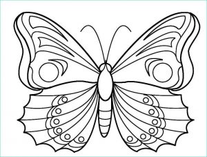 Coloriage Papillon Facile Cool Stock Télécharger Et Imprimer Ces Coloriages De Papillon