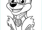 Coloriage Pat Patrouille Avec Modele Inspirant Galerie Coloriage Chase From Pat Patrouille Mighty Pups Dessin Pat