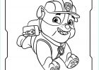 Coloriage Paw Patrouille Bestof Photos Coloriage Pat Patrouille à Imprimer Pour Les Enfants Cp