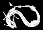 Coloriage Pokemon Rayquaza Luxe Photos Rayquaza Coloring Pages