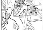 Coloriage Spiderman Facile Cool Collection Coloriage Spiderman Facile Gratuit à Imprimer