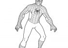 Coloriage Spiderman Facile Cool Photographie De Coloriages Spiderman Coloriage Couleur