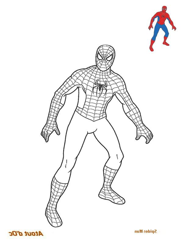 Coloriage Spiderman Facile Cool Photographie De Coloriages Spiderman Coloriage Couleur
