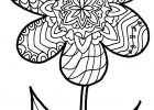Coloriage Zentangle Impressionnant Photographie Flower Zentangle Colouring Page 957×1600