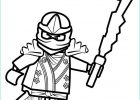 Coloriages Ninjago Impressionnant Photos the 25 Best Lego Coloring Pages Ideas On Pinterest