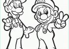 Dessin A Colorier Mario Inspirant Images Imprime Le Dessin à Colorier De Mario