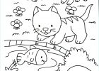 Dessin Chat A Imprimer Inspirant Collection Cute Coloring Page with Kittens Cats Kids Coloring Pages