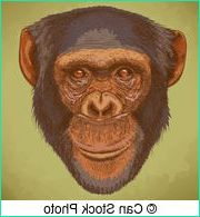 Dessin Chimpanzé Beau Stock Cliparts Et Illustrations De Chimpanzé 9 524 Dessins Et