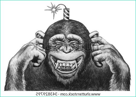 Dessin Chimpanzé Impressionnant Galerie Chimpanzee Fingers Covering Her Ears and Expects Cotton