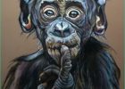 Dessin Chimpanzé Inspirant Collection Capucin Le Petit Chimpanzé "euh " Dessin Par
