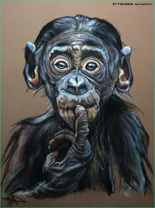 Dessin Chimpanzé Inspirant Collection Capucin Le Petit Chimpanzé &quot;euh &quot; Dessin Par