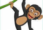 Dessin Chimpanzé Unique Photos Dessin Animé Bébé Chimpanzé Suspendu à Une Branche D Arbre