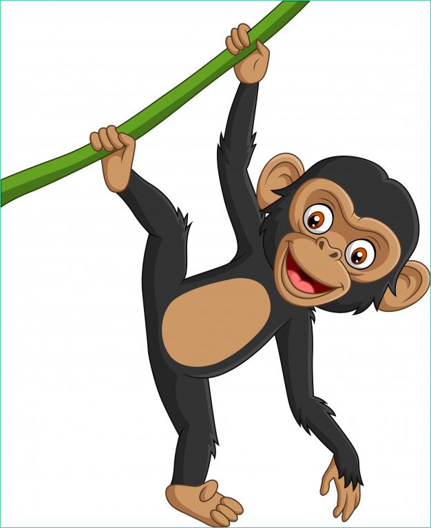Dessin Chimpanzé Unique Photos Dessin Animé Bébé Chimpanzé Suspendu à Une Branche D Arbre