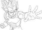 Dessin Dbz Vegeta Élégant Photos Ve A Drawing at Getdrawings