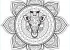 Dessin De Mandala A Imprimer Unique Galerie Mandala with Giraffe Head Difficult Mandalas for Adults
