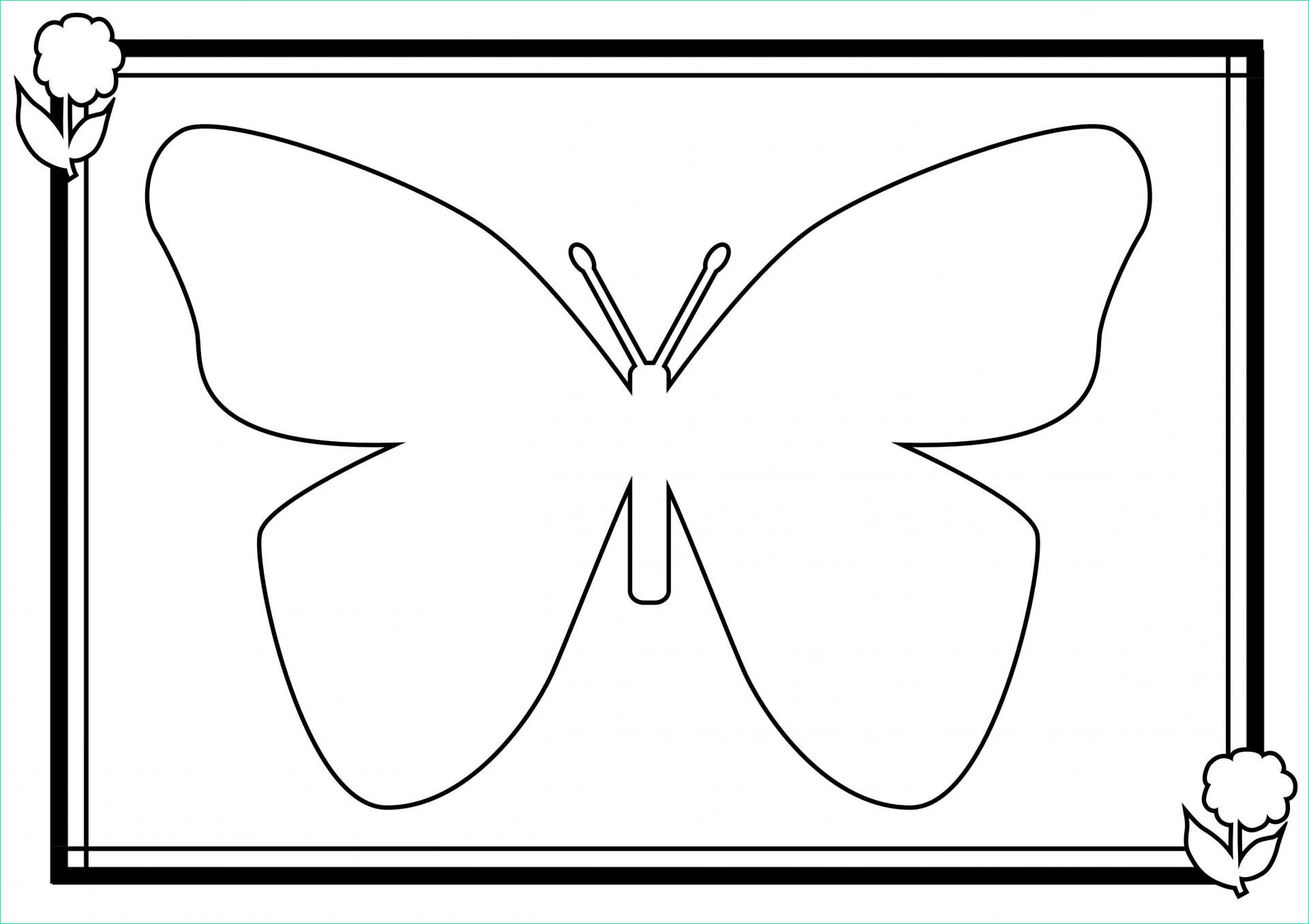 Dessin De Papillon A Imprimer Gratuit Beau Collection Coloriage De Papillon A Imprimer Gratuit