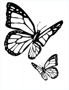 Dessin De Papillon A Imprimer Gratuit Beau Photographie Coloriage Papillon à Imprimer Pour Les Enfants Cp