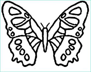Dessin De Papillon A Imprimer Gratuit Beau Photos Coloriage Papillon Maternelle Vecteur Dessin Gratuit à